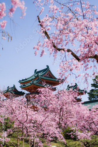 Obraz na płótnie 京都平安神宮の春景色 w salonie