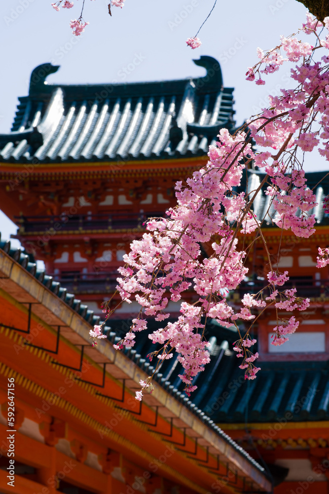 京都平安神宮の春景色