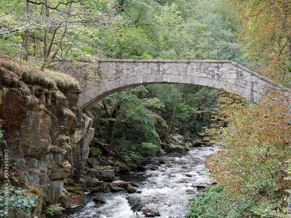 Brücke im Bodetal, Königsruhe, Hirschgrundsteig, Har, Sachsen-Anhalt, Deutschland, Bogenbrücke, Stein, Brücke im Bodetal, Königsruhe, Hirschgrundsteig, Har, Sachsen-Anhalt, Deutschland, Bogenbrücke, Stein,