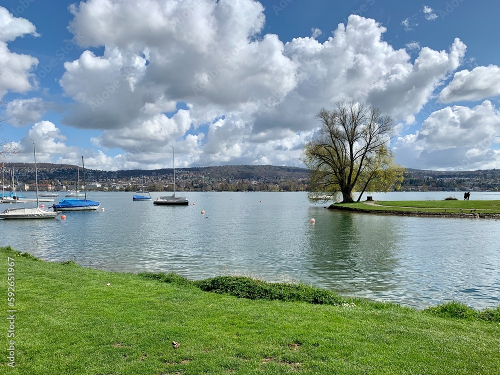 Stadt Zürich - Saffa Insel beim Mythenquai - Wiese am Ufer vom See ...
