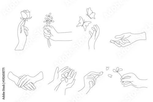 Hands in various gestures. Line art collection isolated on white background. Hand-drawn, Vector Illustration. photo