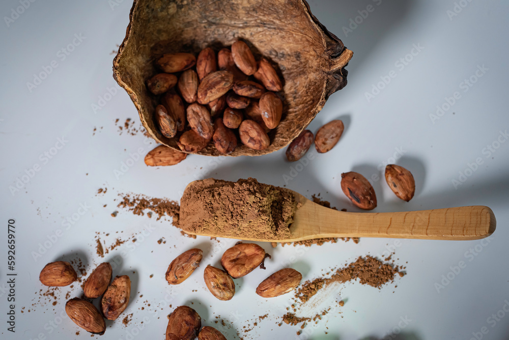 cocoa powder and cocao beans on white table.