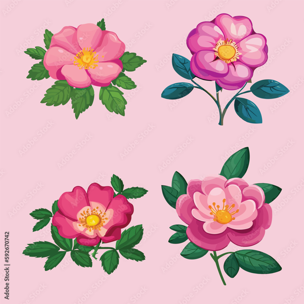 colorful Spring beautiful flowers vector set isolated in the background. different types of Collections of various colors for the spring season as graphic elements and decorations. Vector illustration