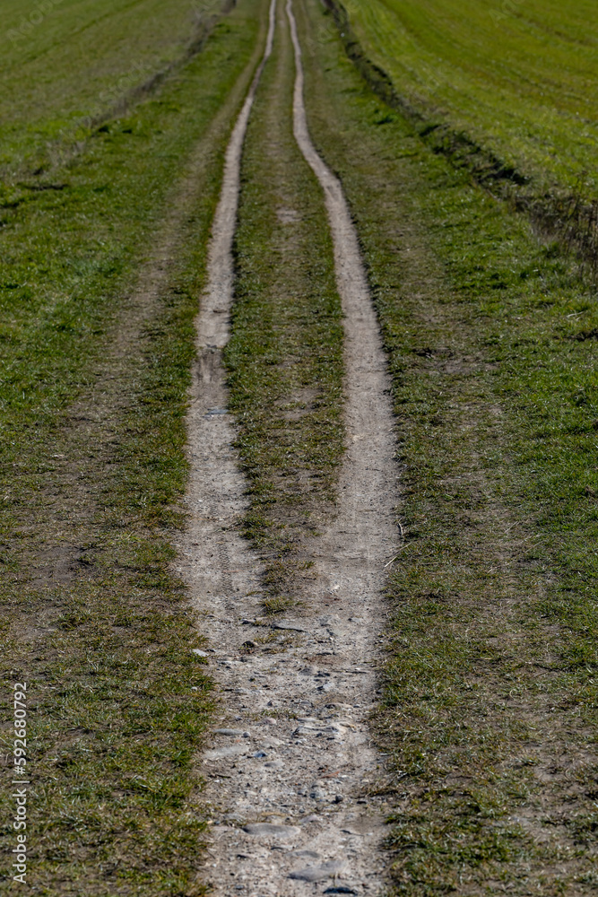 Copenhagen, Denmark A path on a field divides into two paths in the Dyrehaven deer park. Copenhagen, Denmark A path on a field divides into two paths in the Dyrehaven deer park.