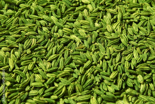 dried green fennel seeds or Saunf herb also known as variyali mukhvas in india isolated as texture background,top view