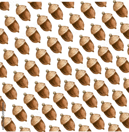  dry seeds of squirrel food. watercolor illustration of dried acorns.