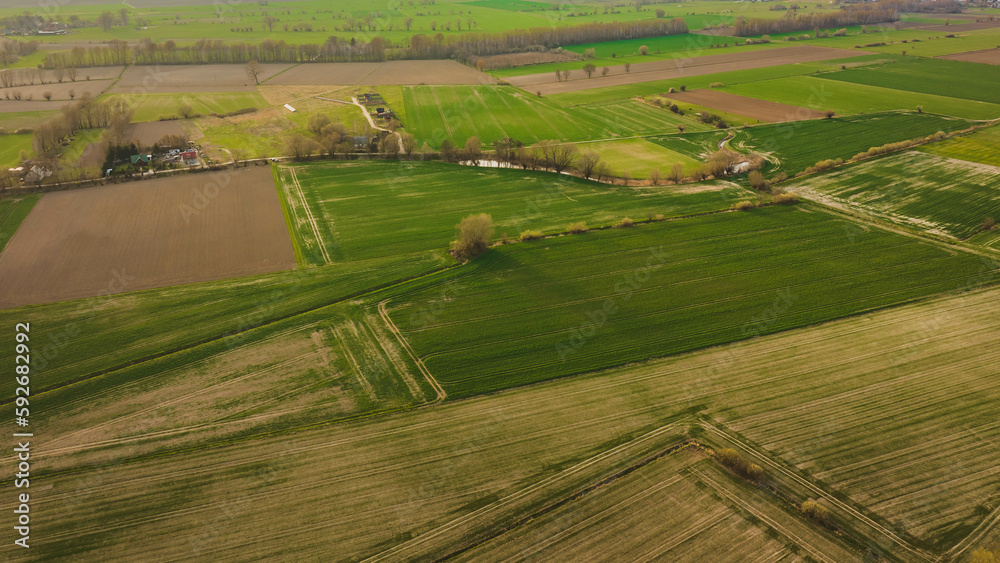 Drone view of the fields on Sobieszewo Island, Gdańsk in early spring.