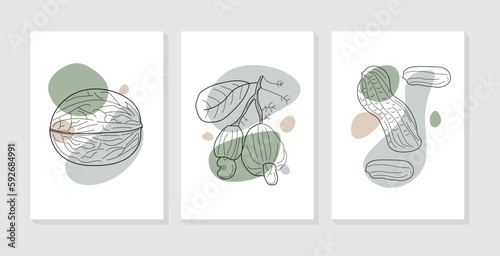 Abstract wall art vector collection with Walnut, Cashew, Peanut. Set of fruits with organic shapes for print, wallpaper, interior, poster, cover, banner. Vector illustration