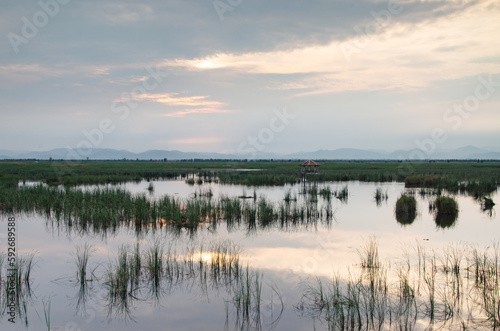 Lake in the evening at sunset