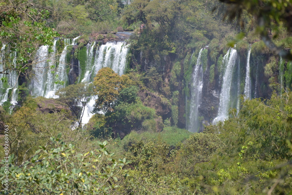 Fototapeta premium naturaleza
