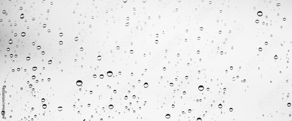 Minimal grayscale backdrop with rain droplets on white glass. Light wet window with rainy drops closeup in black-white. Blurry minimalist monochrome background of window glass with raindrops close up.