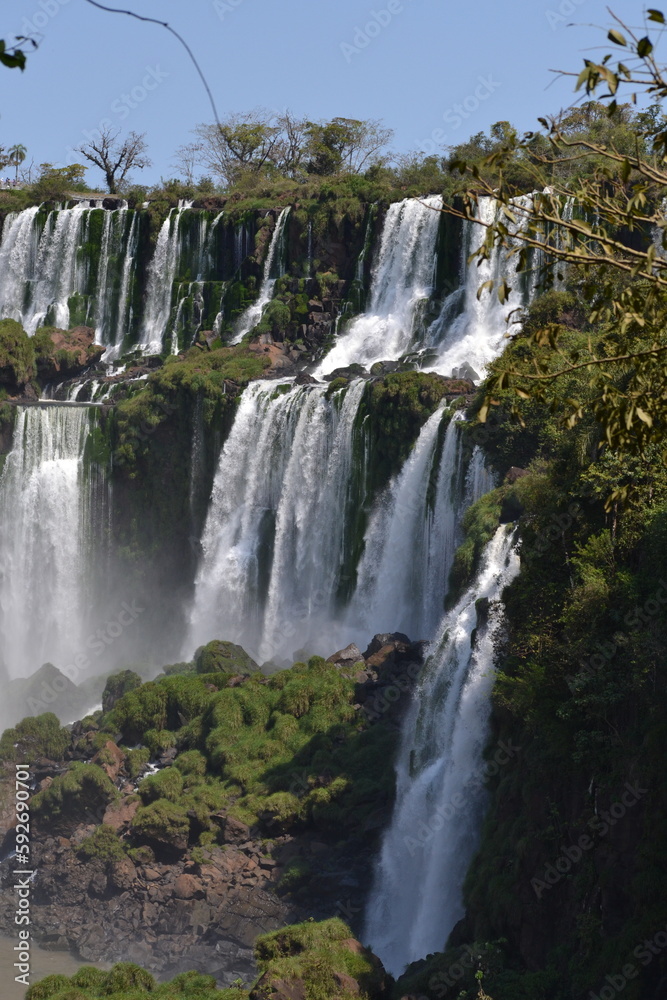 Fototapeta premium naturaleza