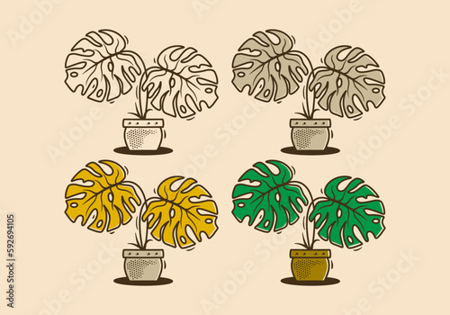 Green Monstera deliciosa plant with two big leaf illustration