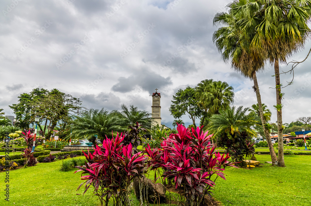 A view past Ti Plants in the Central Park in La Fortuna, Costa Rica in the dry season