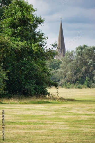 Woodland flora with Church spire in the background