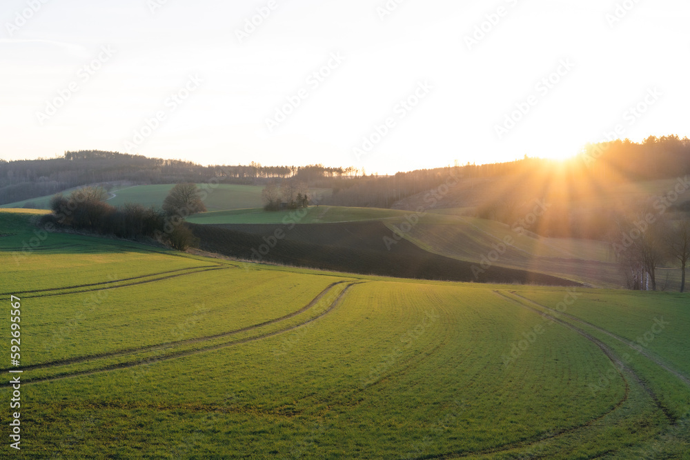 landscape in Sauerland with fields and trees at sunset