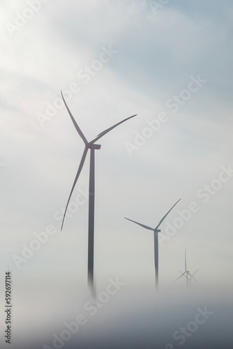 Wind turbines with rotor blades producing renewable energy in country. Windmills hidden in dense morning fog at cloudy sunrise © SlavaStock