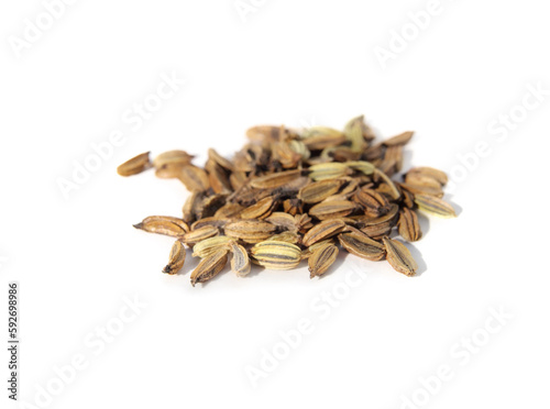 Isolated fennel seed pile, close up. Macro of dry Selma Fino Fennel seeds before planting. Known as Sweet Anise, Finnochio, Florentine Fennel or Foeniculum vulgare. Selective focus. White background. photo