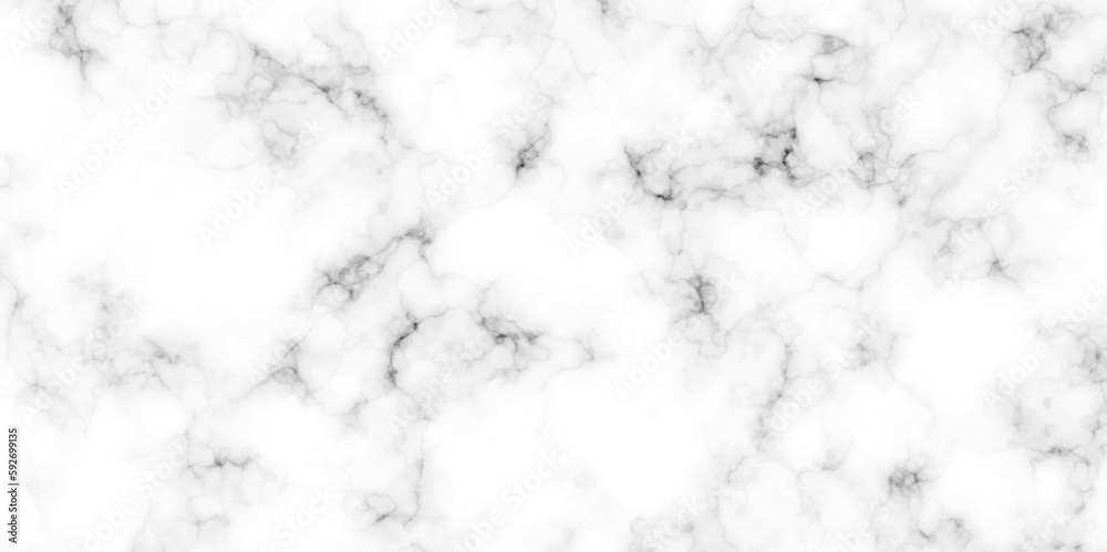 Marble white background wall surface black pattern . White and black marble texture background . Luxurious material interior or exterior design.	