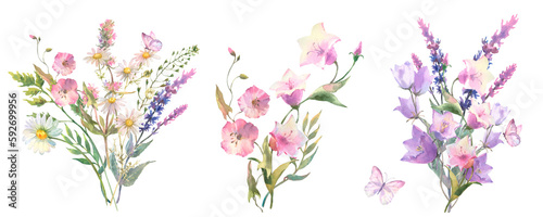 Set of fied flowers bouquet. Watercolor botanical illustration  wild flowers bouquet with purple bluebell  sage and chamomile and with butterflies  isolated on white background