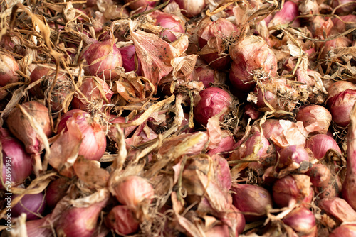 bunch of dried shallots that have not been peeled