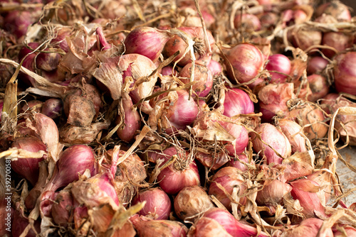 bunch of dried shallots that have not been peeled