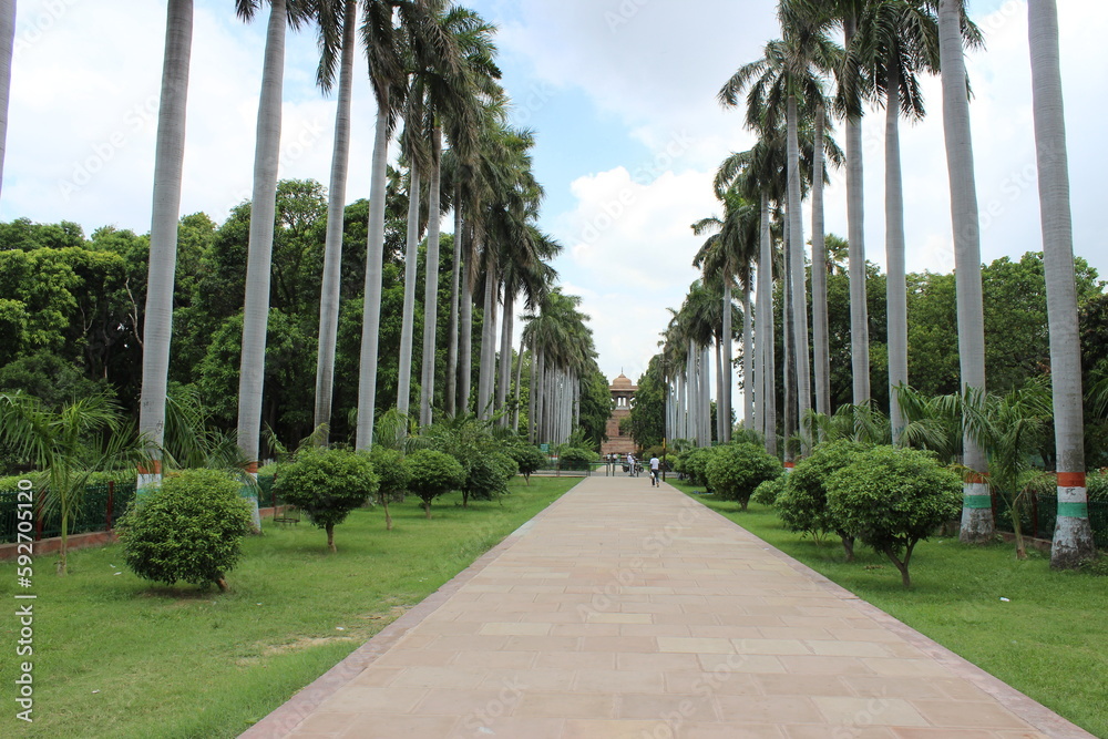 Fototapeta premium A Royal Road