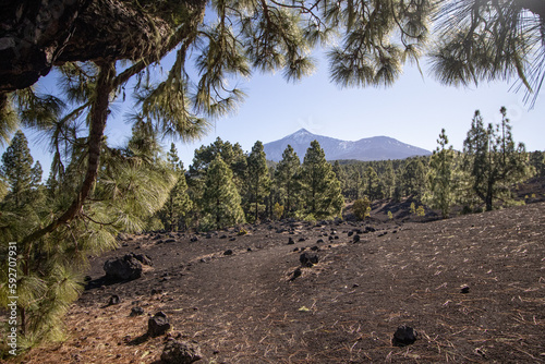 Vulkan Arenas Negras, Teneriffa 