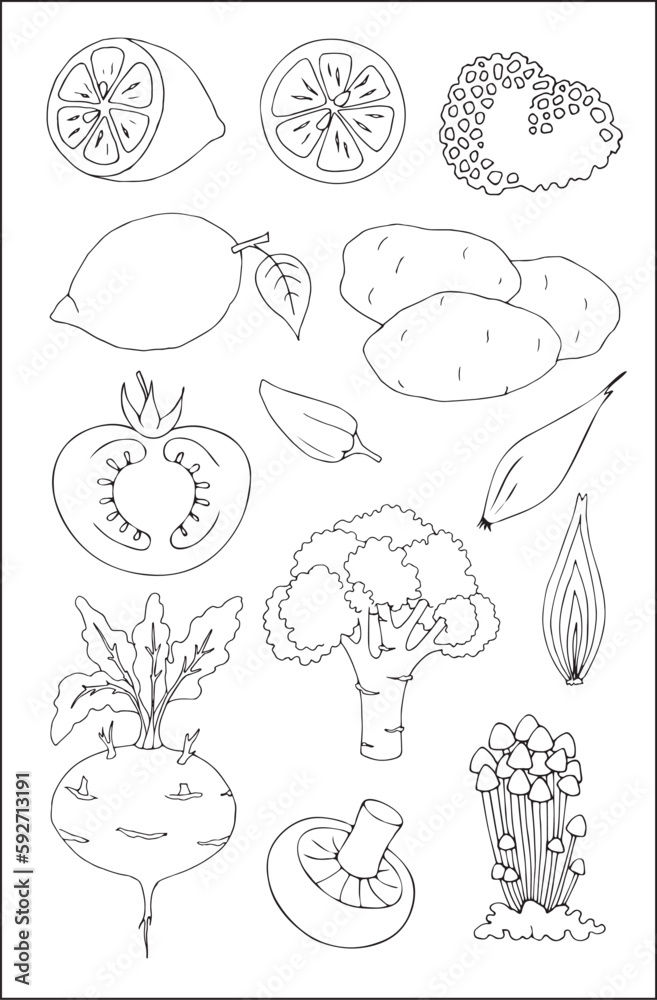 Set of different vegetables outlined in black and white, contours of different forms of vegetables, silhouettes of veggies.
