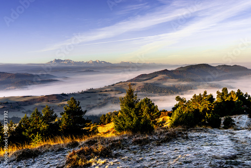 Fototapeta Naklejka Na Ścianę i Meble -  Pieniny