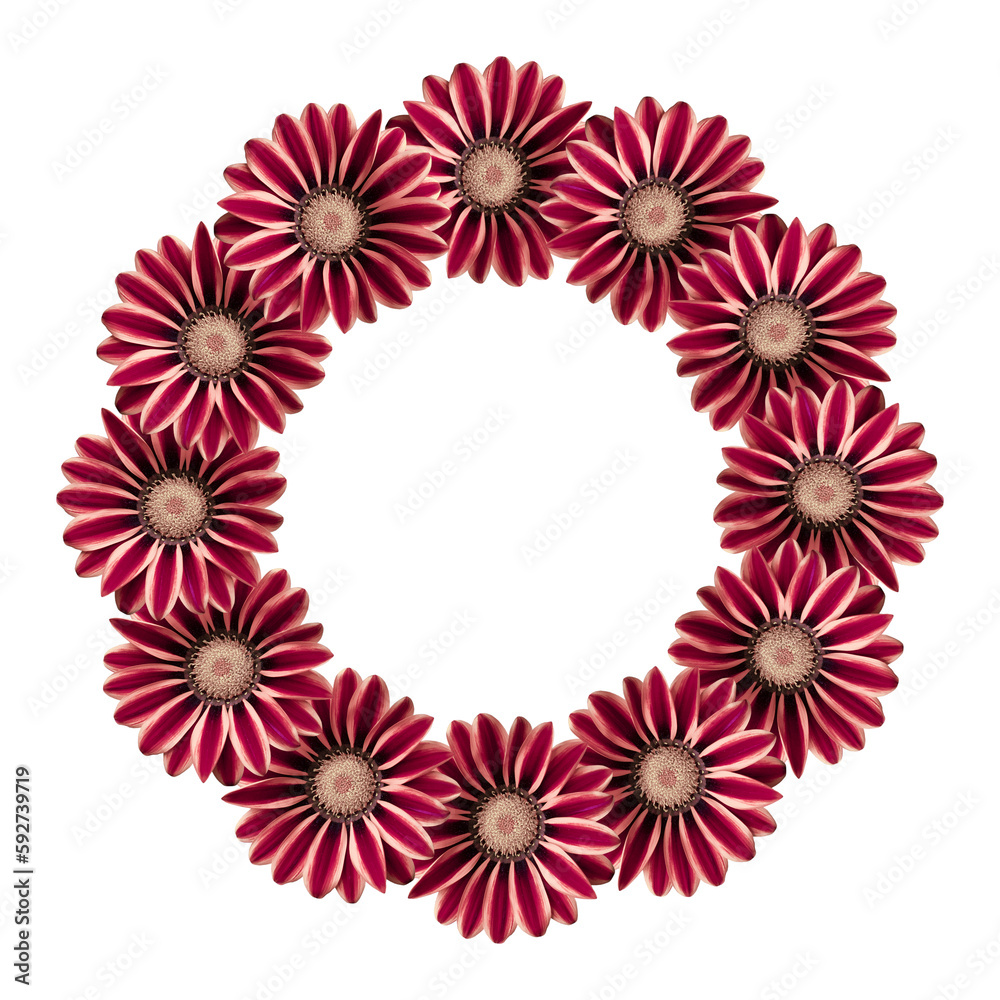 Flower arrangement of a round shape. Pink  and red  flowers isolated on white background. Wedding design element. Festive flower arrangement.  Border of flowers. Frame flowers. Copy space.