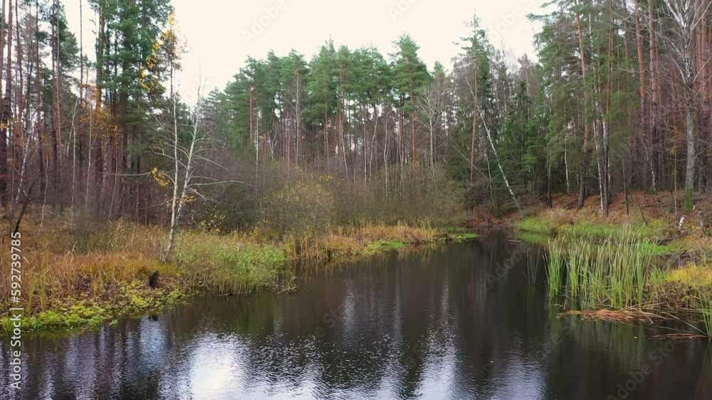 Drone flight over a forest pond on an autumn morning Drone flight over a forest pond on an autumn morning