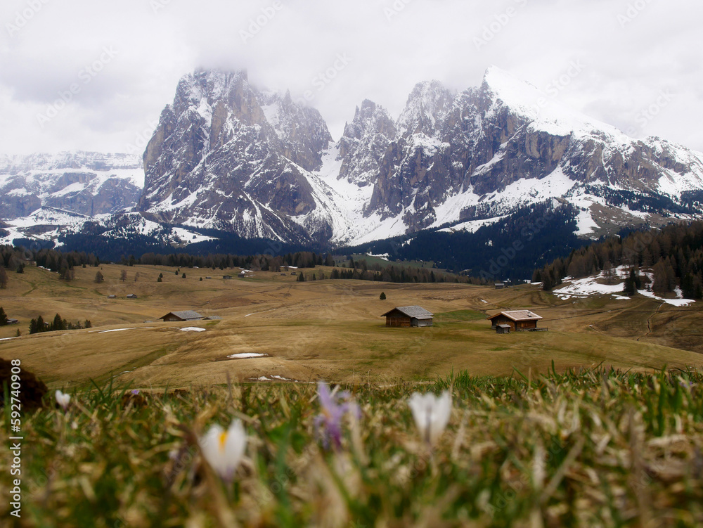 Landscape with dolomites at Alpe di Siusi (Seiser Alm), Bolzano, Italy