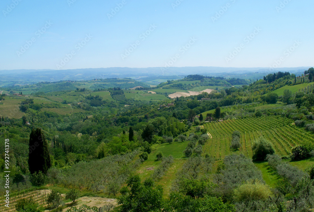 Typical Tuscan landscape with vineyards and blue sky