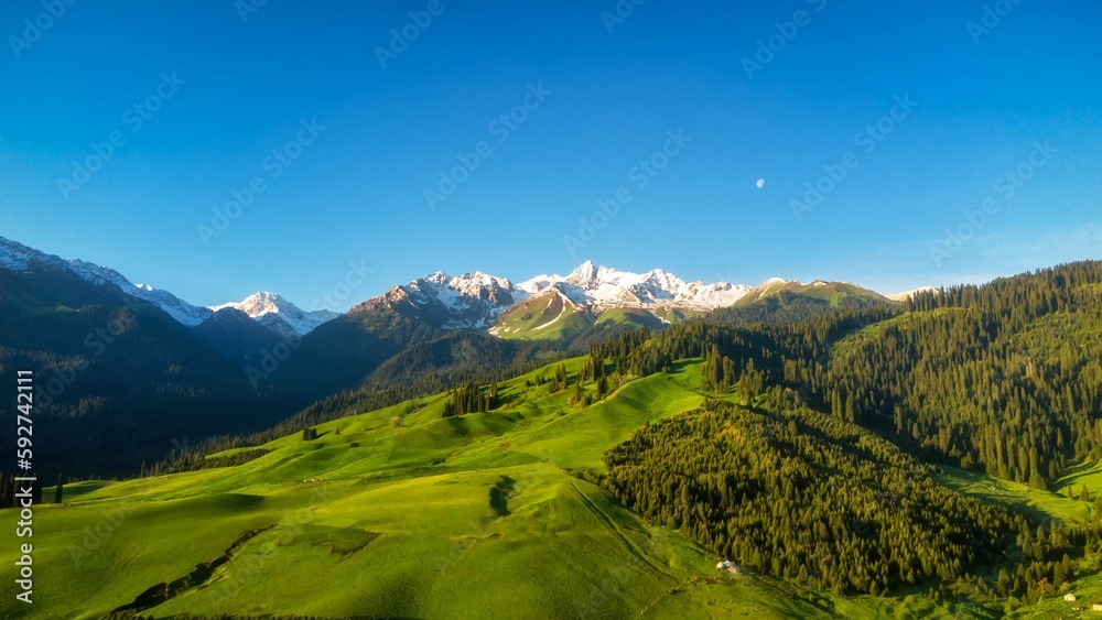 Breathtaking view of a green mountainous landscape and the peaks covered by snow in a distance