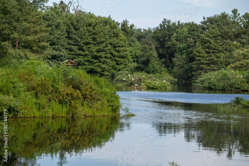 Cypress Wetlands, Port Royal, South Carolina © Ken