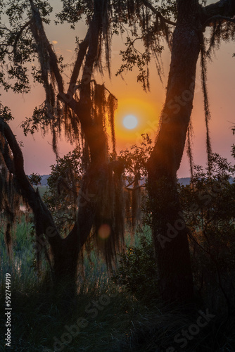 South Carolina Marsh Sunset