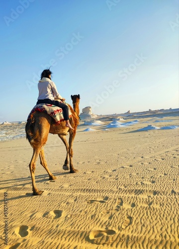 Balade à dos de chameau dans le désert blanc d'Egypte photo