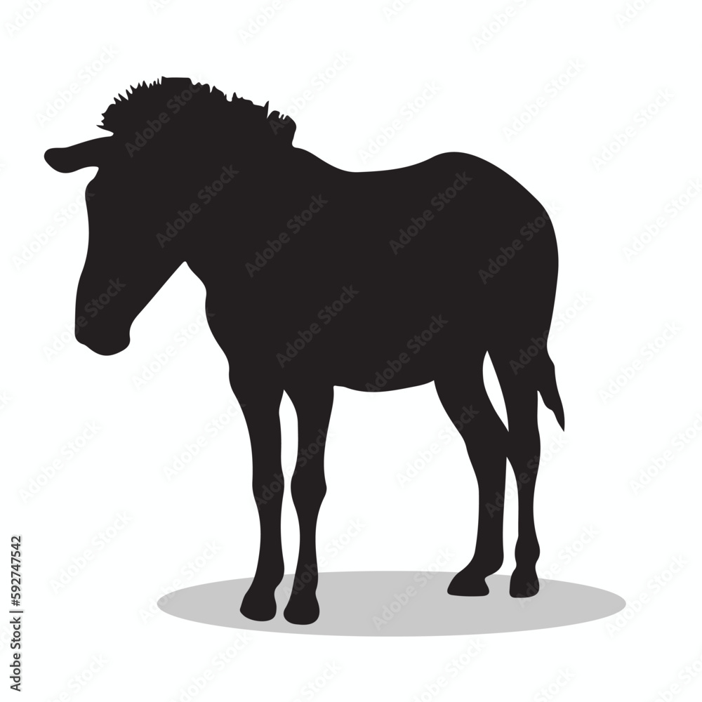Zebra silhouettes and icons. Black flat color simple elegant Zebra animal vector and illustration. Zebra silhouettes and icons. Black flat color simple elegant Zebra animal vector and illustration.
