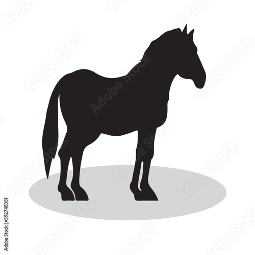 Zonkey silhouettes and icons. Black flat color simple elegant Zonkey animal vector and illustration.