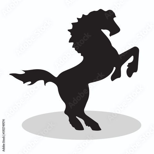 Zorse silhouettes and icons. Black flat color simple elegant Zorse animal vector and illustration. photo