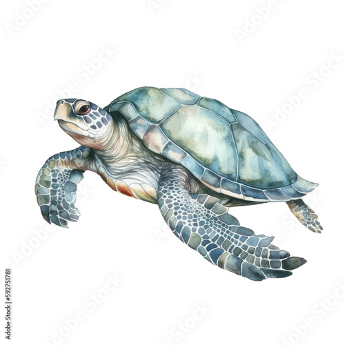 Blue watercolor sea turtle illustration isolated on transparent background, underwater animals ocean collection