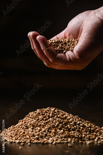 A handful of barley malt on a black background.