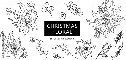Set of Christmas floral vector hand drawn elements. Poinsettia flowers, mistletoe, eucalyptus leaves. Winter holiday decor. Black and white line art illustration.