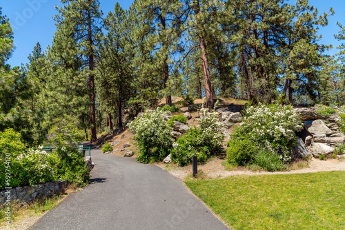Paved hiking trails through the suburban Mirabeau Point Park in Spokane Valley, Washington, USA on a summer day. 