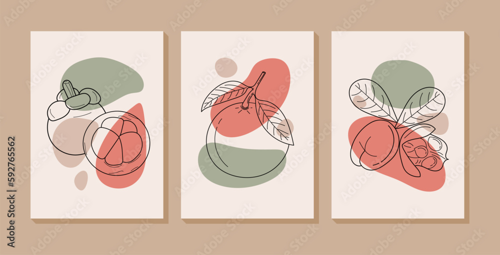 Abstract fruits wall art collection with Mangosteen, Mandarin and Ackee. Set of fruits with organic shapes for print, wallpaper, interior, poster, cover, banner. Vector illustration