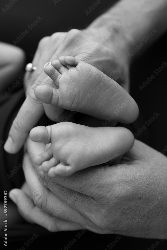 Black and white shade beautiful shape hands of mother, hold tiny newborn baby feet on black background with love, care, family safety and protection, child with premature birth concept or NICU care Black and white shade beautiful shape hands of mother, hold tiny newborn baby feet on black background with love, care, family safety and protection, child with premature birth concept or NICU care