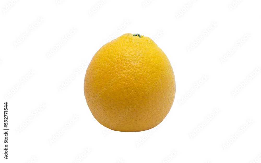 orange isolated on a transparent png bacckground, png collection, cut out orange isolated on a transparent png bacckground, png collection, cut out