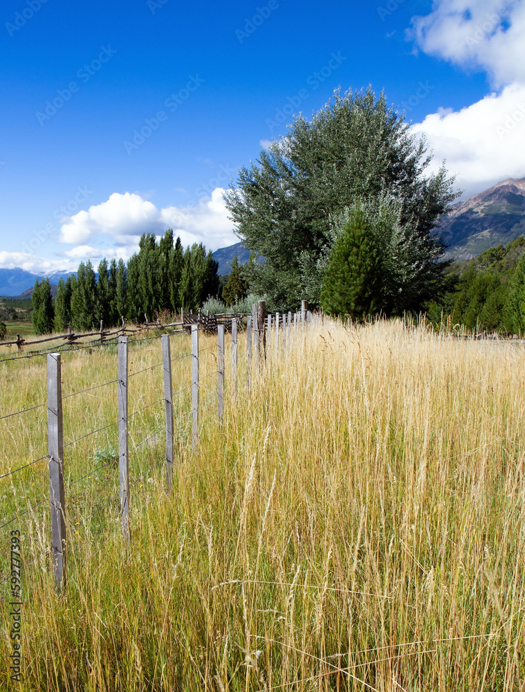 Fototapeta premium Wooden fence crosses a field