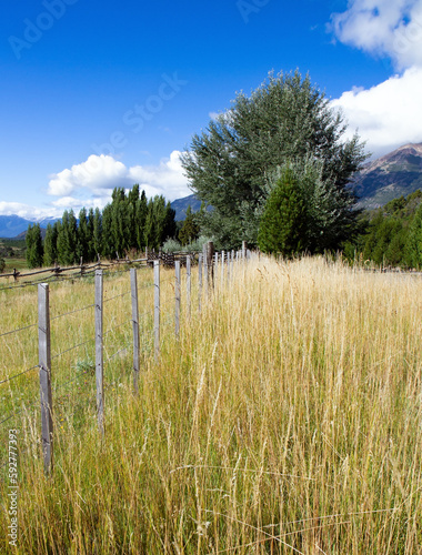 Wooden fence crosses a field